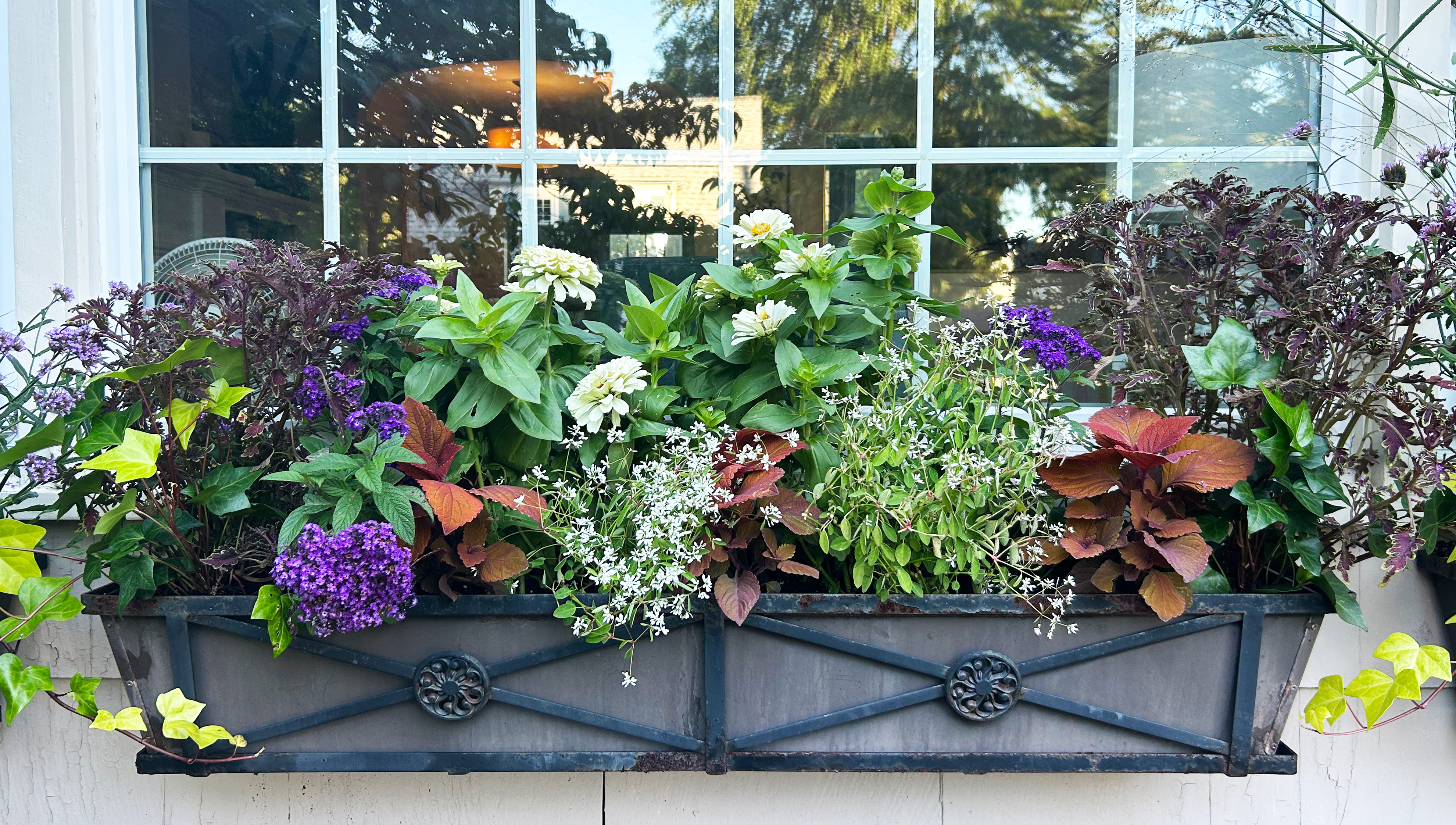 D&E Gardens window box design