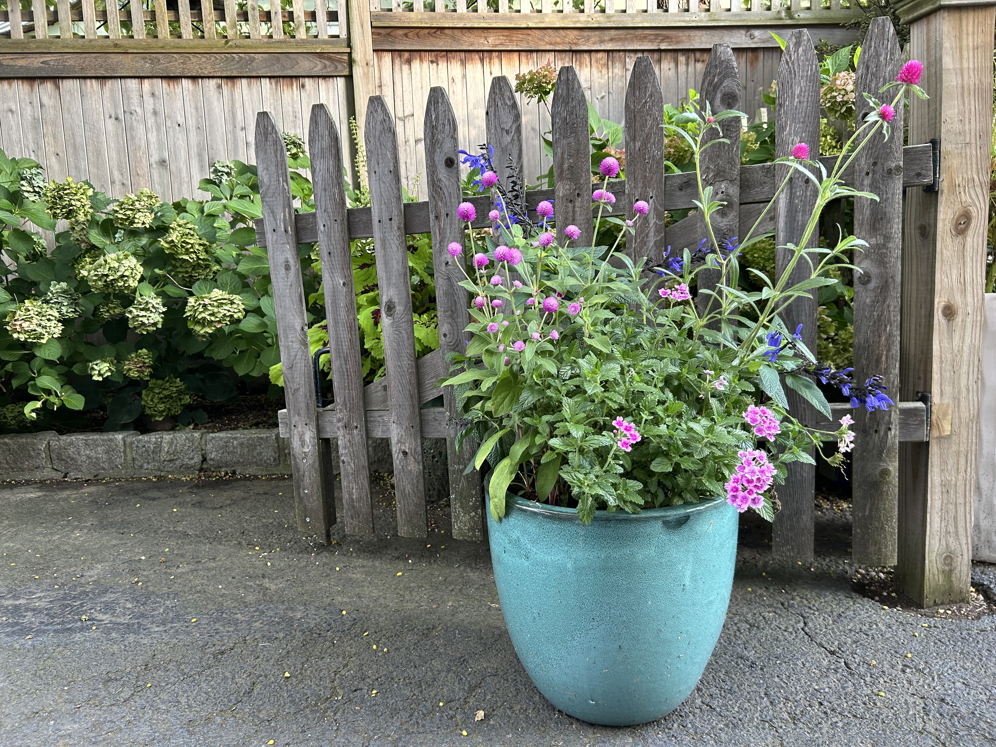D&E Gardens terracotta planter
