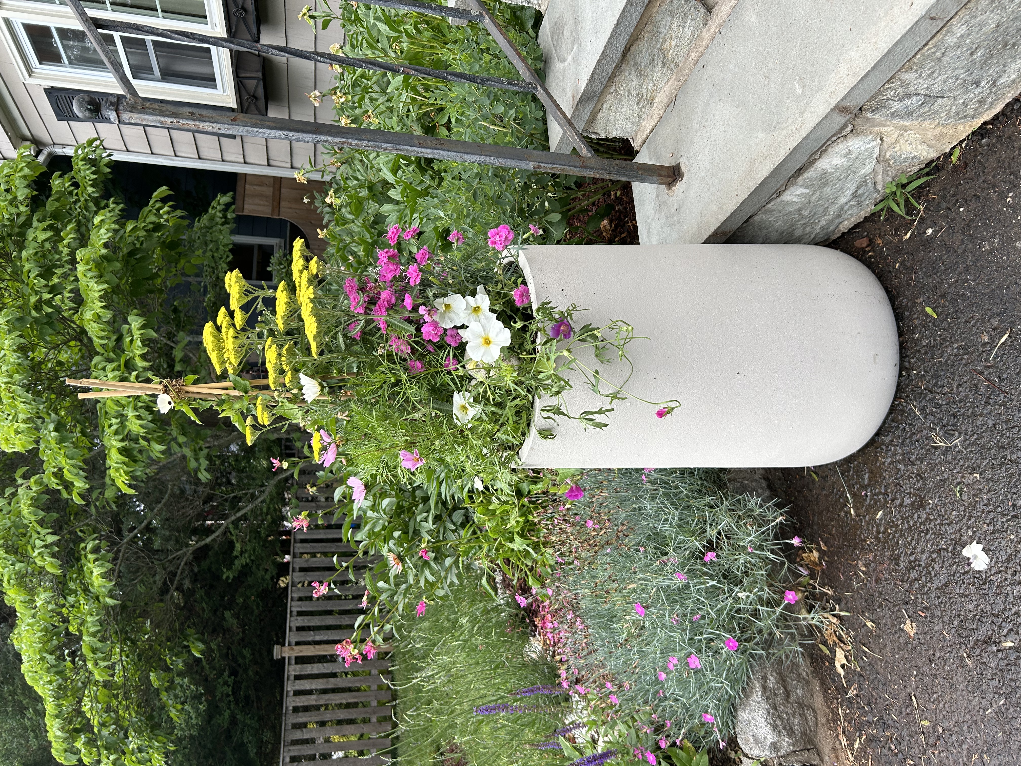 D&E Gardens white cylinder planter