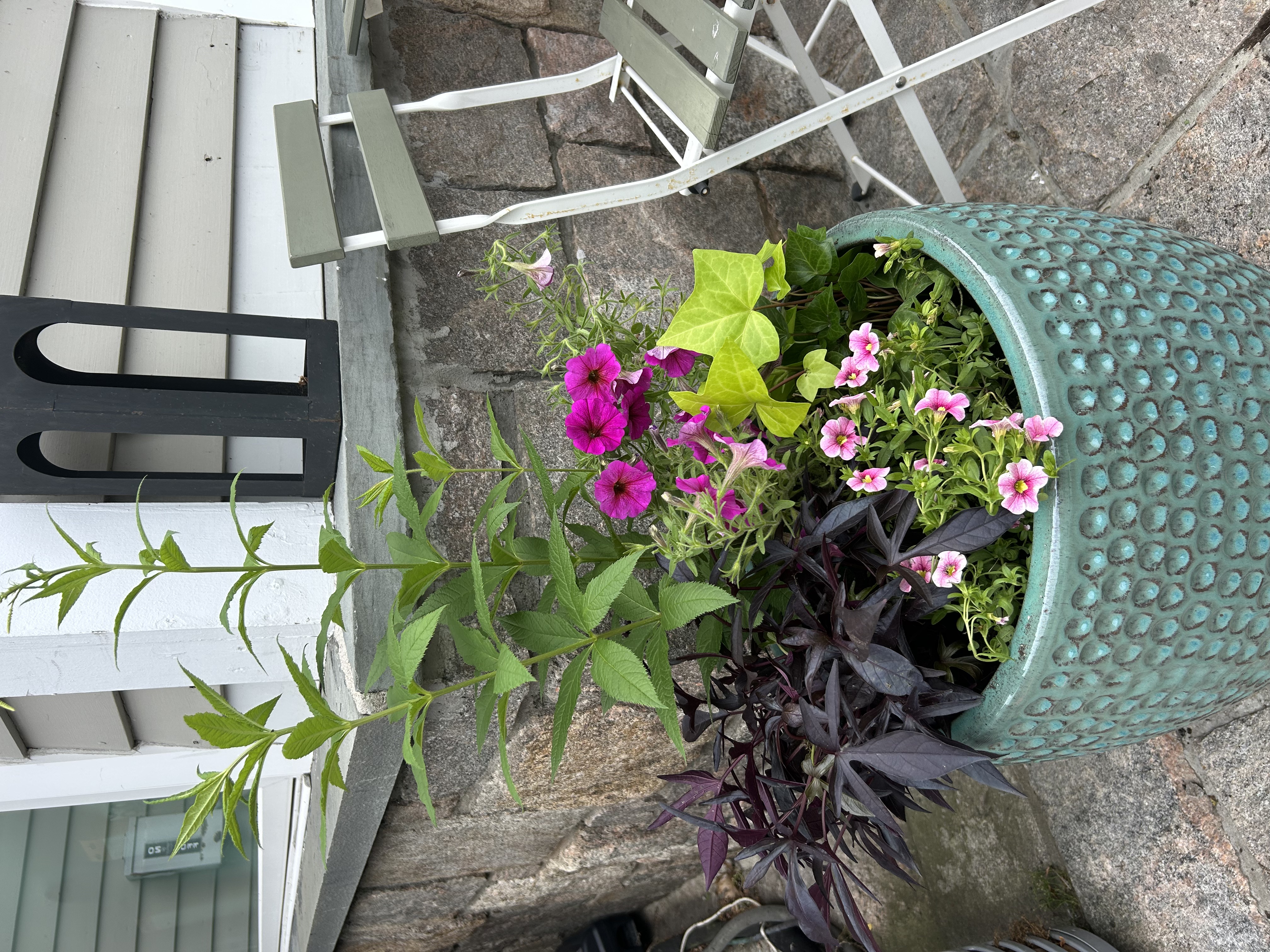 D&E Gardens teal planter with pink flowers